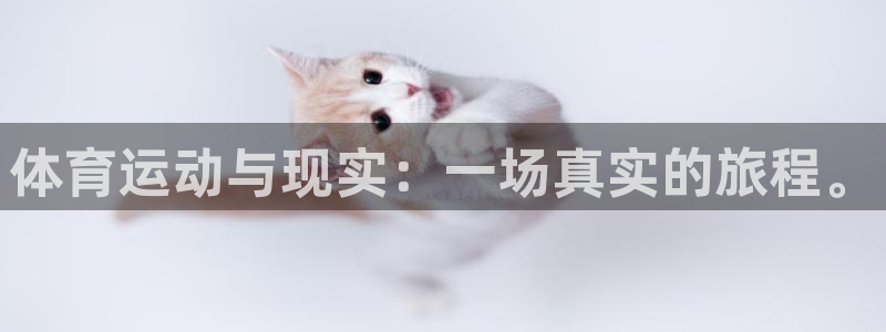 飞速体育app官网入口下载：体育运动与现实：一场真实的旅程。