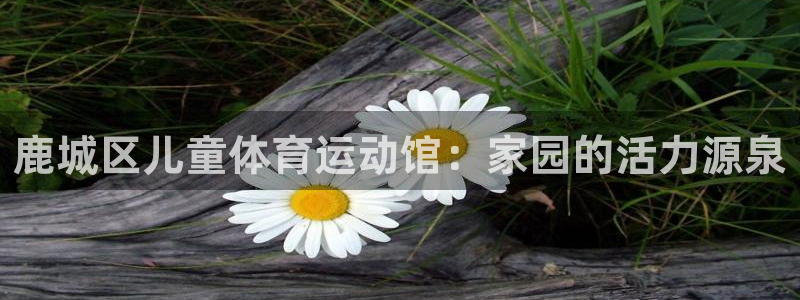 飞速体育下载app：鹿城区儿童体育运动馆：家园的活力源泉