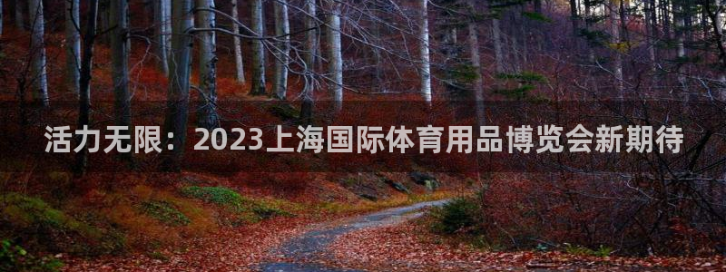 飞速体育网店：活力无限：2023上海国际体育用品博览会新期待