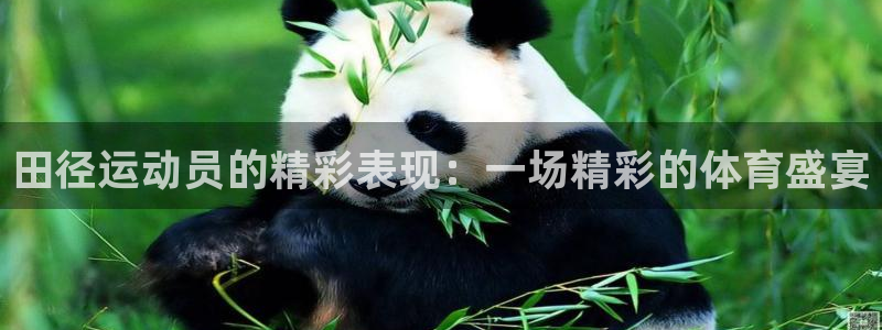 飞速体育买鞋：田径运动员的精彩表现：一场精彩的体育盛宴