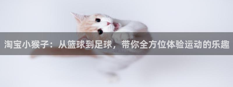 飞速体育官方网站：淘宝小猴子：从篮球到足球，带你全方位体验运动的乐趣