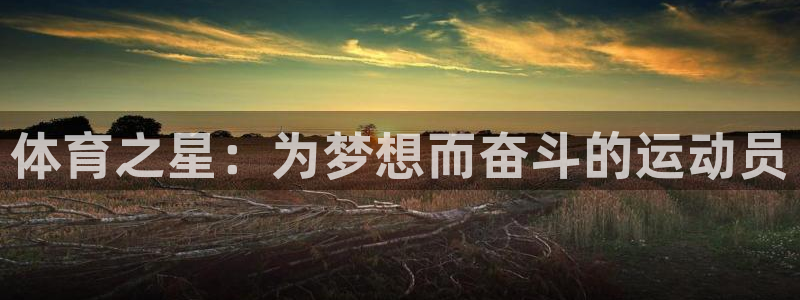 飞速体育beta版已过期怎么办：体育之星：为梦想而奋斗的运动员