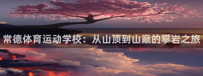 飞速体育app免费下载：常德体育运动学校：从山顶到山巅的攀岩之旅