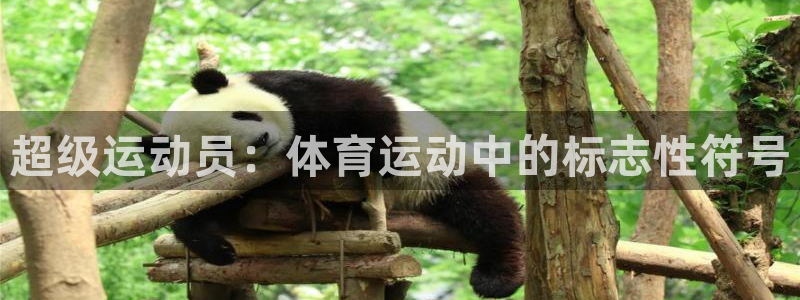 飞速体育谢宇宁：超级运动员：体育运动中的标志性符号