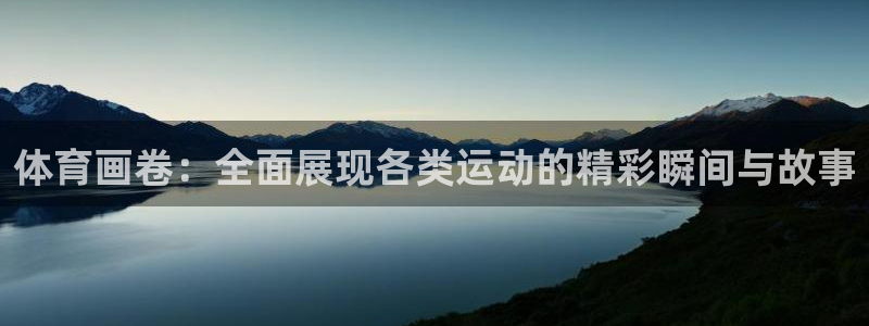 飞速体育网店：体育画卷：全面展现各类运动的精彩瞬间与故事