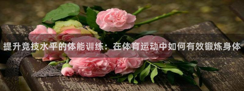 飞速体育买鞋：提升竞技水平的体能训练：在体育运动中如何有效锻炼身体