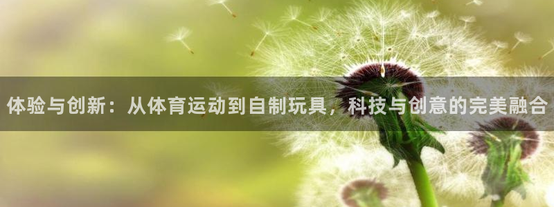 飞速体育黑化方块：体验与创新：从体育运动到自制玩具，科技与创意的完美融合