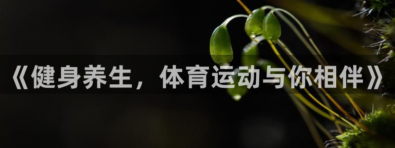 飞速体育nba：《健身养生，体育运动与你相伴》