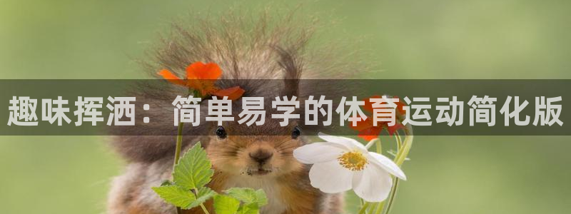 飞速体育app官方版：趣味挥洒：简单易学的体育运动简化版