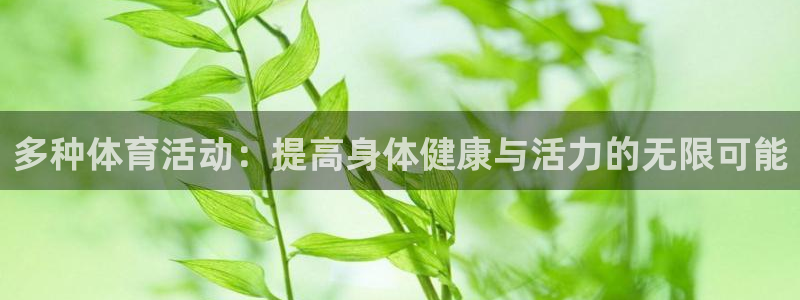 飞速体育app官网入口下载：多种体育活动：提高身体健康与活力的无限可能