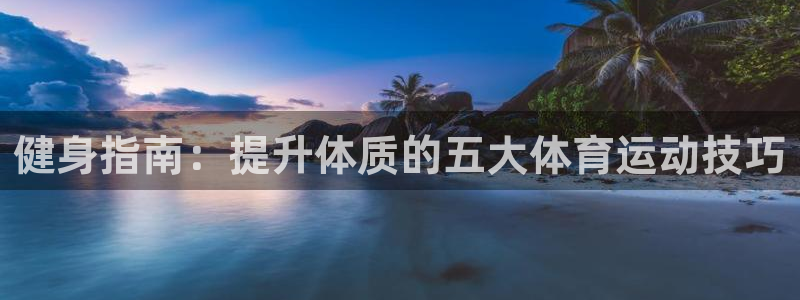 飞速体育app官方版：健身指南：提升体质的五大体育运动技巧